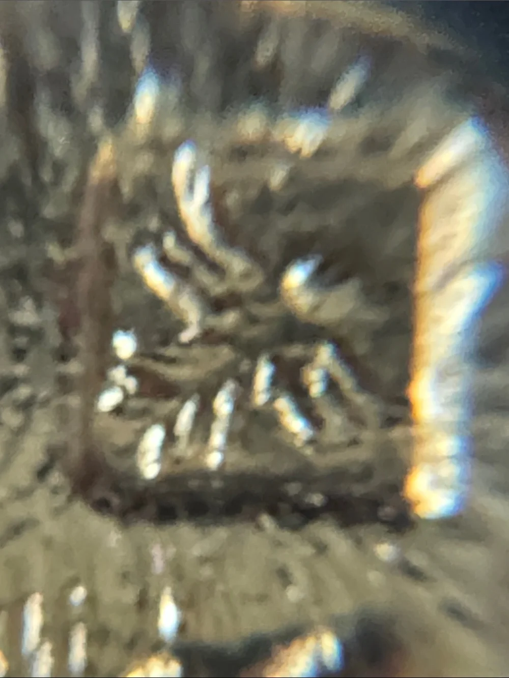 Fire Bird this collectible